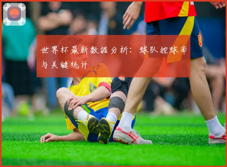 世界杯最新数据分析：球队控球率与关键统计