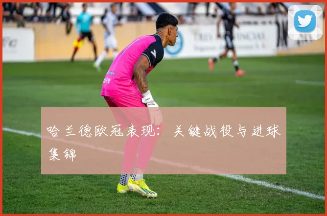 哈兰德欧冠表现：关键战役与进球集锦